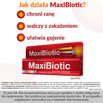 Maxibiotikum (5 mg + 5000 UI + 400 UI)/g, Salbe, 5 g