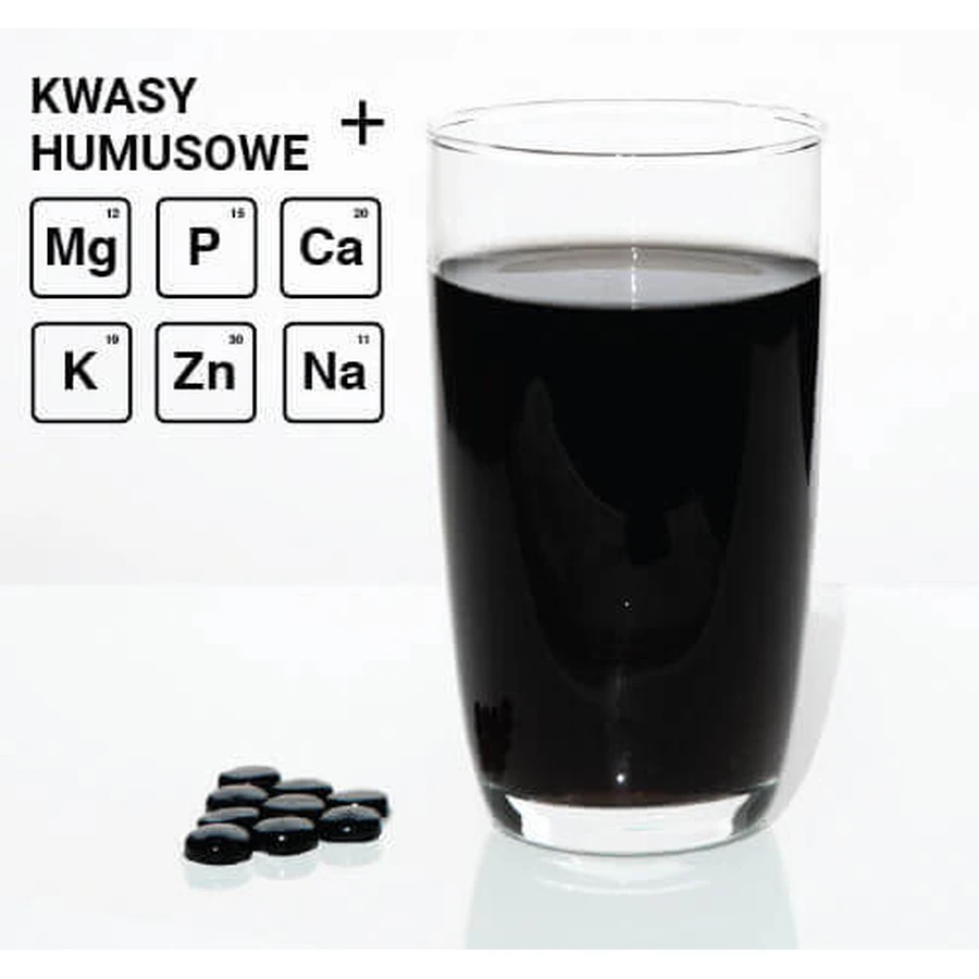 Mumio Oczyszczone, 60 tabletek: ceny i cechy
