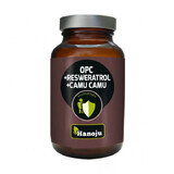 Hanoju, OPC + Resveratrol + Bio Camu Camu 500 mg, 60 Kapseln