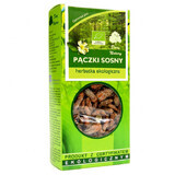 Darya Natury Pączki Sosny (pine buds), organic tea, 50 g