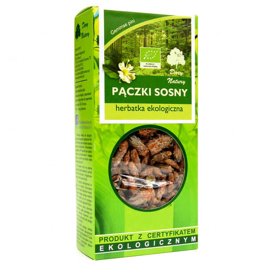 Darya Natury Pączki Sosny (pine buds), organic tea, 50 g