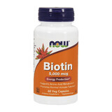 Now Foods Biotin, Biotin 5000 µg, 60 vegetarische Kapseln