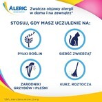 Aleric Deslo Active 2,5 mg, 10 comprimate cu dezintegrare orală