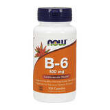 Now Foods B-6 100 mg, Vitamin B6, 100 Kapseln