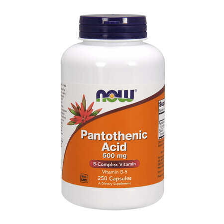 Now Foods Pantothensäure, Pantothensäure 500 mg, 250 vegetarische Kapseln