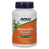 Now Foods Boswellia Extract 500 mg, Weihrauch-Extrakt, 90 Gel-Kapseln