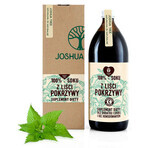 Joshua Tree 100% Brennnesselblattsaft, 1000 ml