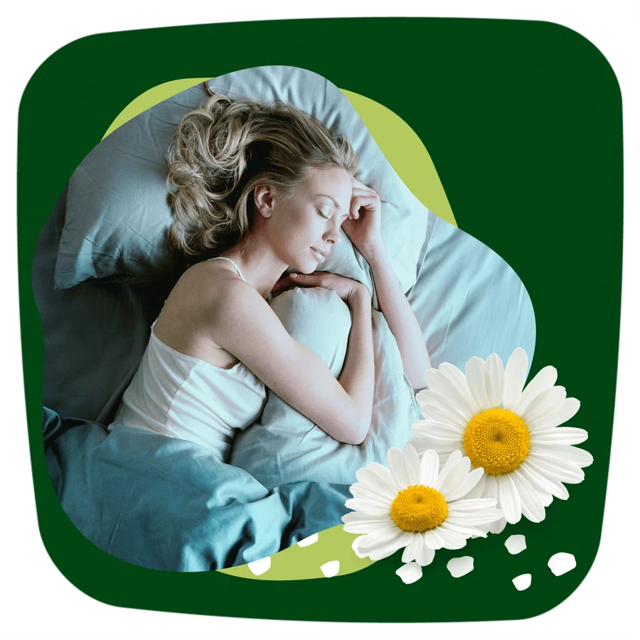 Naturella Ultra, maandverband met vleugels, kamille, Nacht, 14 st.