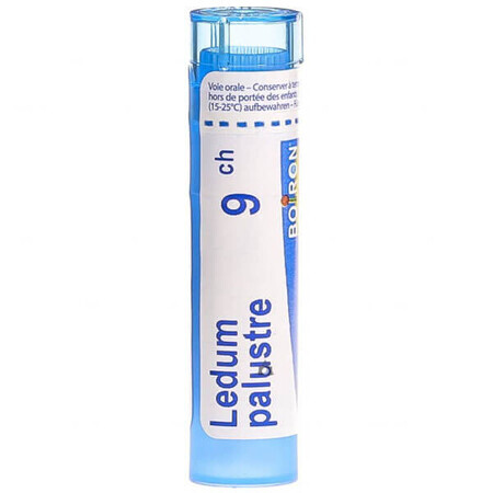 Boiron Ledum palustre 9 CH, Granulat, 4 g