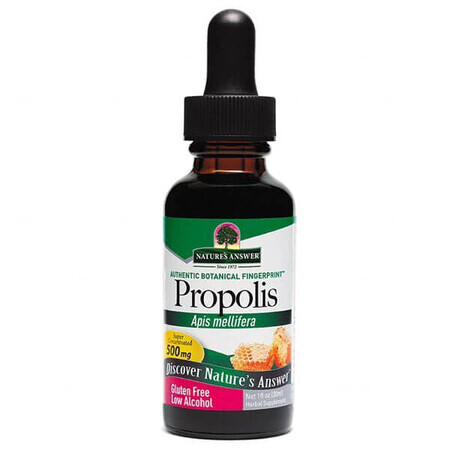 Nature's Answer Propolis, Tropfen, 30 ml