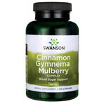 Swanson Cinnamon Gymnema Mulberry Complex, cannelle, gymnema et mûre, 120 gélules