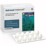 Mito-Pharma Adrenal-Intercell, 120 capsule