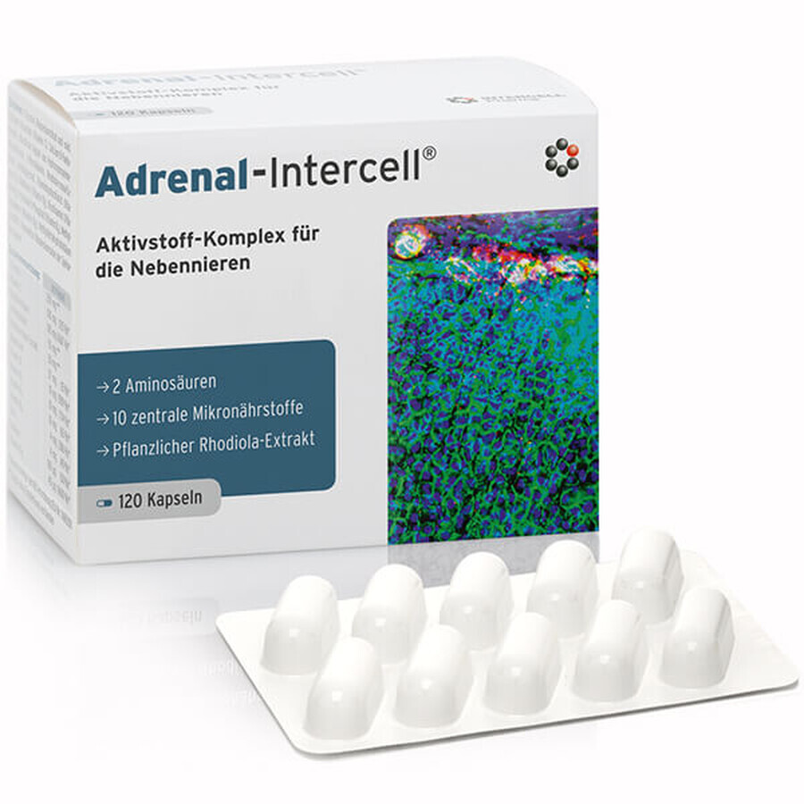 Mito-Pharma Nebennieren-Intercell, 120 Kapseln