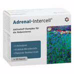 Mito-Pharma Adrenal-Intercell, 120 capsule