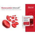 Mito-Pharma Homocysteine Intercell, 90 capsule