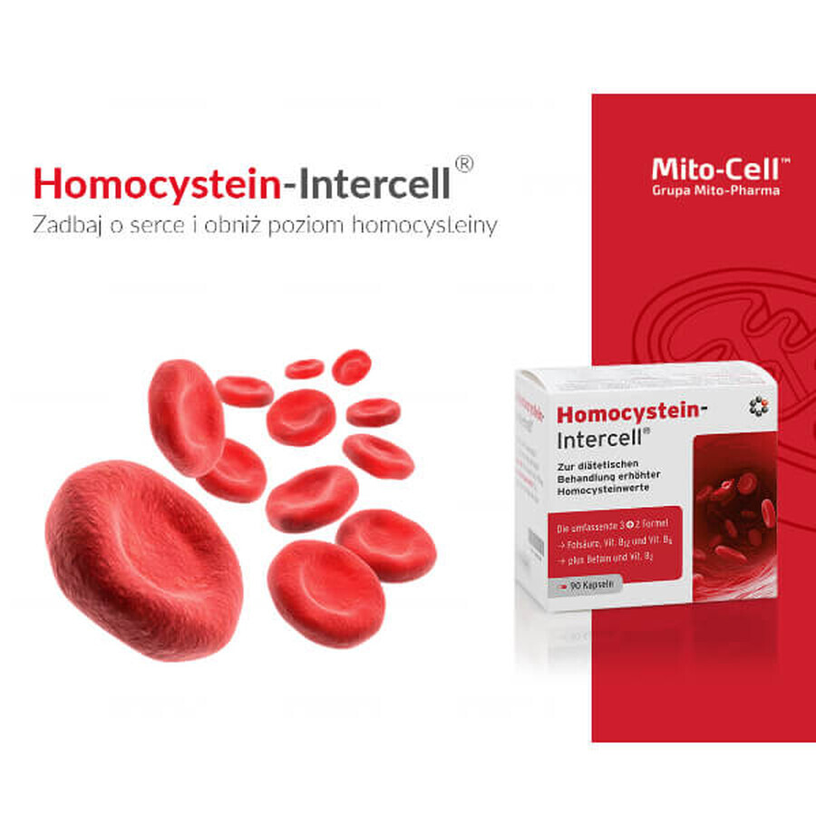 Mito-Pharma Homocysteine Intercell, 90 capsule