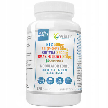 Wish B12 + B6 (P-5-P) + Biotin + Folsäure Modulator Forte, 120 Kapseln