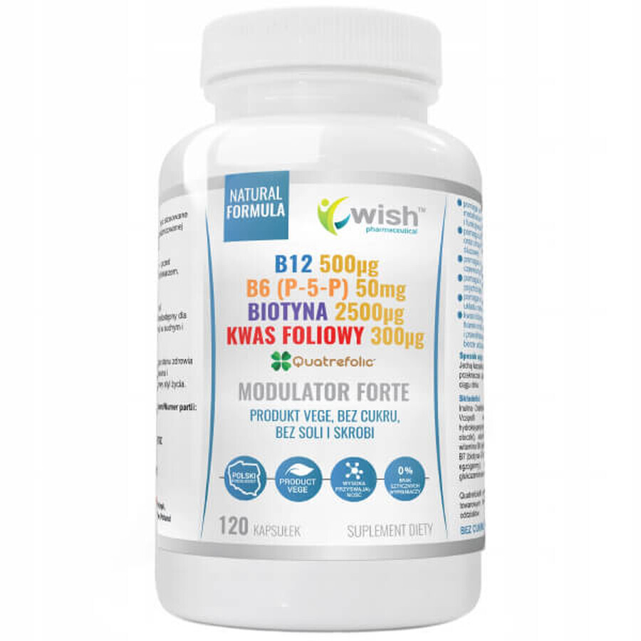 Wish B12 + B6 (P-5-P) + Biotin + Folsäure Modulator Forte, 120 Kapseln