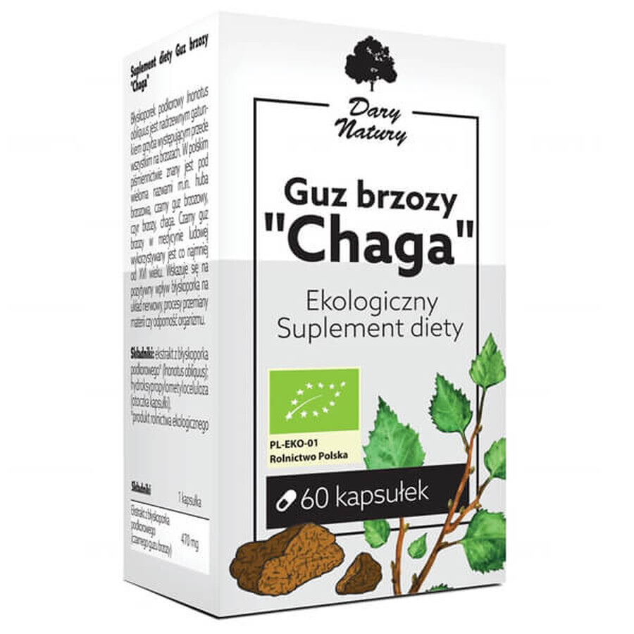 Regalo de la Naturaleza Chaga Abedul Tumor, 60 cápsulas