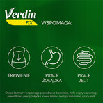 Verdin Fix mit grünem Tee, 20 Portionsbeutel