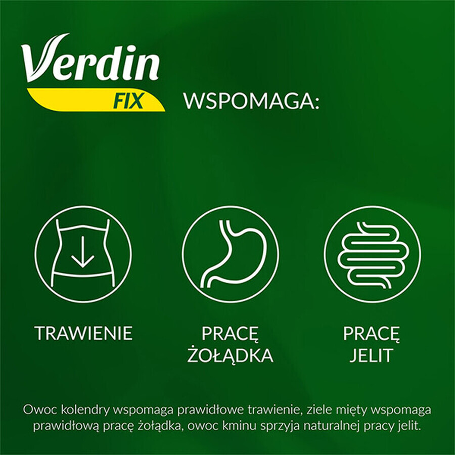 Verdin Fix mit grünem Tee, 20 Portionsbeutel