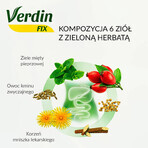 Verdin Fix mit grünem Tee, 20 Portionsbeutel