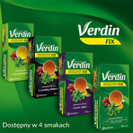 Verdin Fix mit grünem Tee, 20 Portionsbeutel