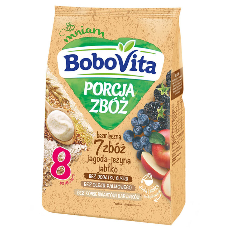 BoboVita Porcja Zbóż Porridge 7 Cerealien, Heidelbeere, Brombeere, Apfel, milchfrei, ohne Zuckerzusatz, nach 8 Monaten, 170 g