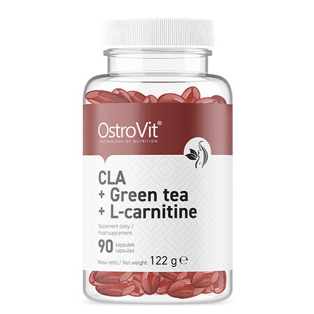 OstroVit CLA + Groene Thee + L-Carnitine, 90 capsules