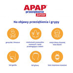 Apap Przeziębienie Junior 300 mg + 20 mg + 5 mg, polvere per soluzione orale, 6 bustine