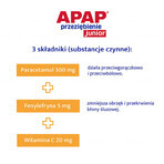 Apap Przeziębienie Junior 300 mg + 20 mg + 5 mg, polvere per soluzione orale, 6 bustine