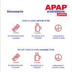 Apap Przeziębienie Junior 300 mg + 20 mg + 5 mg, polvere per soluzione orale, 6 bustine