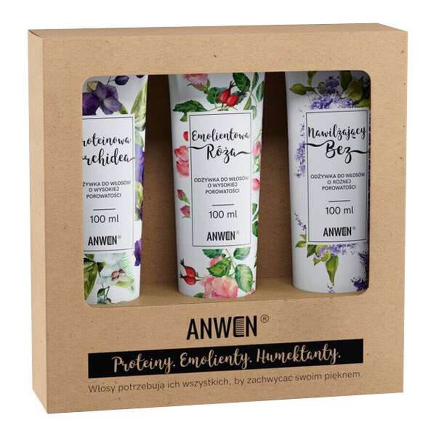 Anwen Set, Conditioner für hochporöses Haar, 3 x 100 ml