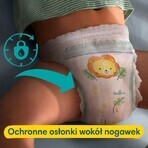 Pampers Pants, pannolini, taglia 5, 12-17 kg, 96 pz.