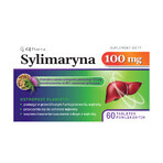 Sylymarin 100 mg, 60 Filmtabletten