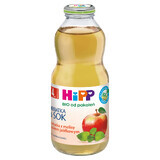 HiPP Tea &amp; Juice Bio, thé de mélisse avec jus de pomme, après 4 mois, 500 ml