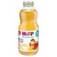 HiPP Tee &amp;amp; Saft Bio, Fencheltee mit Apfelsaft, nach 4 Monaten, 500 ml