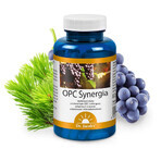 Dr. Jacob's OPC Synergy, 120 capsules