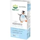 Topnatur Ballaststoffe für Babys ab 6 Monaten, geschmacks- und geruchsneutral, 100 g