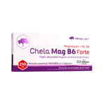 Olimp Chela-Mag B6 Forte, 60 capsule