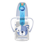 Canpol Babies, slim bottle with handle, Cute animals, 11/823, blue, from 3 months, 120 ml