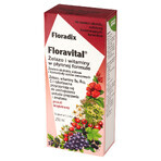 Floradix, Floravital, glutenfrei, 250 ml