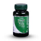 Maslin-Extrakt forte, 60 Kapseln, Dvr Pharm