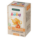 Premium Rosa Herbi Baby Sanddorn, Tee für Säuglinge und Kinder ab 9 Monaten, 20 Portionsbeutel