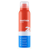 Panthen Plus, cooling foam, panthenol 20%, 150 ml