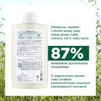 Klorane, șampon pe bază de lapte de ovăz pentru toate tipurile de păr, 400 ml