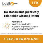 Ibuvit D3 4000 IU, 90 gélules