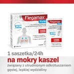 Flegamax Forte 2,7 g, 6 bustine