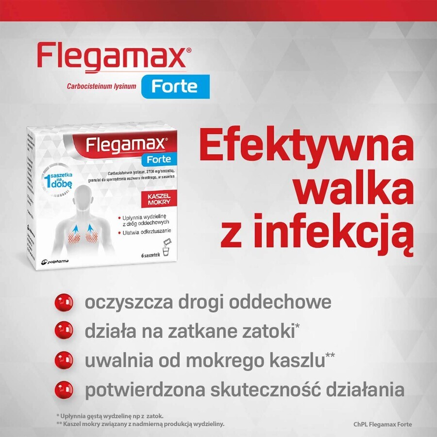 Flegamax Forte 2,7 g, 6 bustine