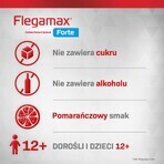 Flegamax Forte 2,7 g, 6 bustine